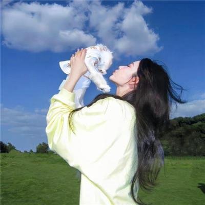 巅峰拍档第二十九季